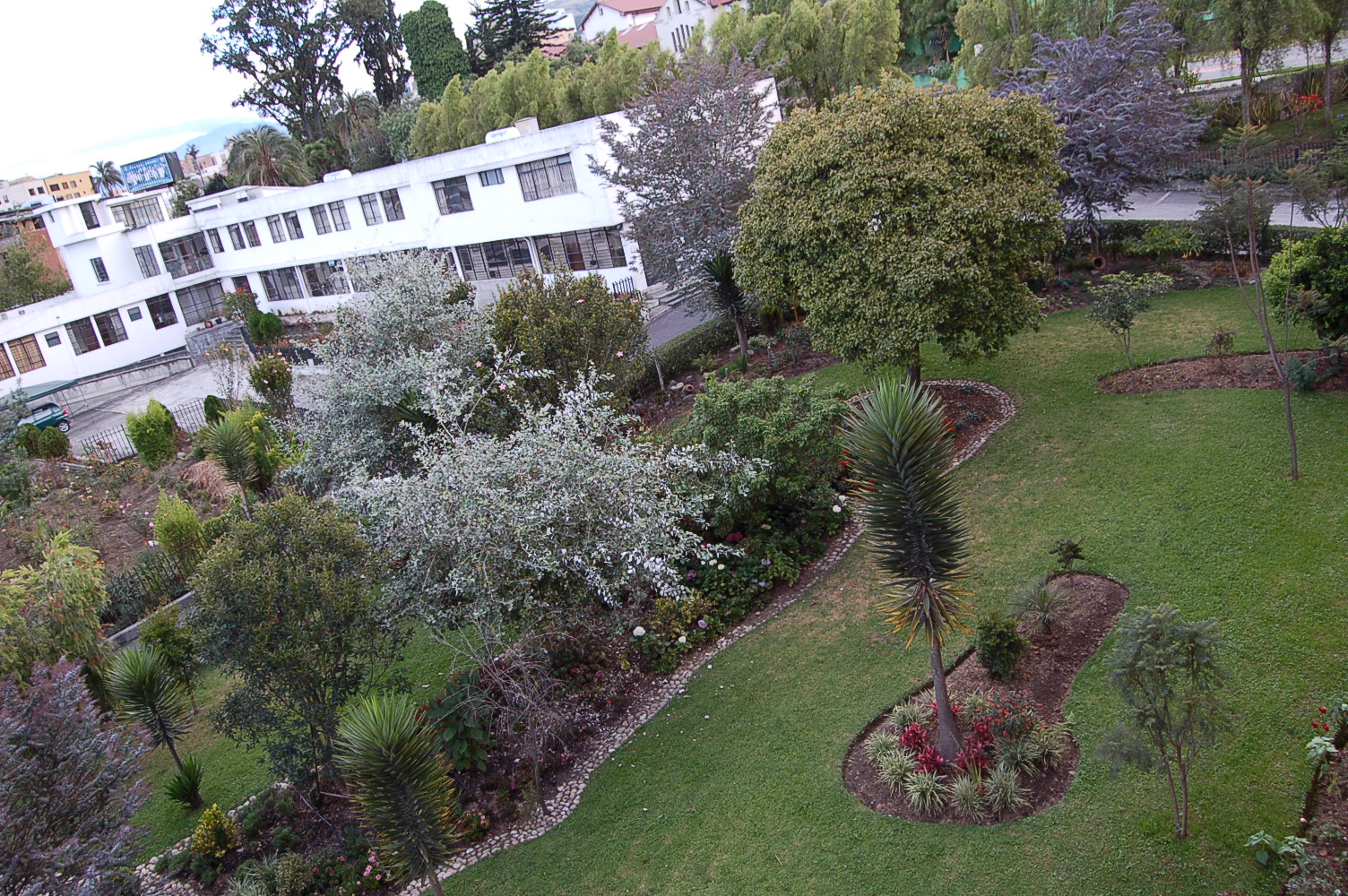 san_jose